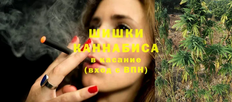 Шишки марихуана Ganja  Ржев 